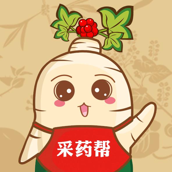 安国采药帮