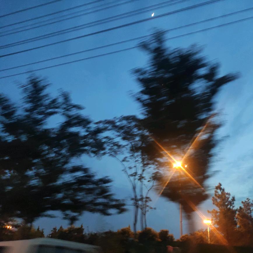 乖
