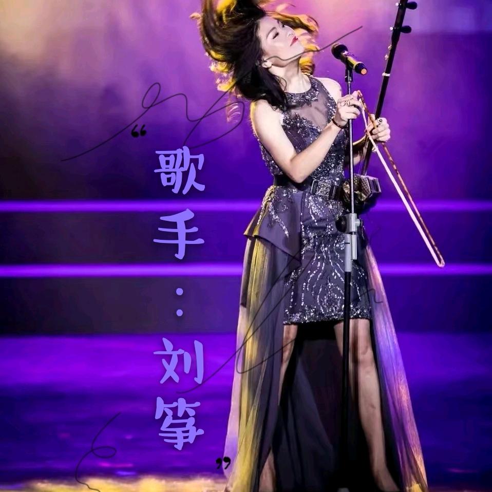 歌手刘筝（二胡）