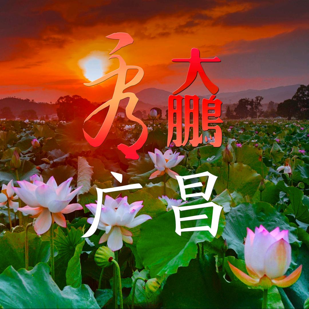 大鹏看广昌