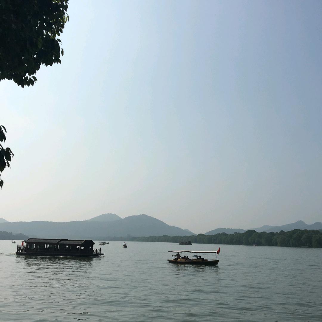 一木走过田中央