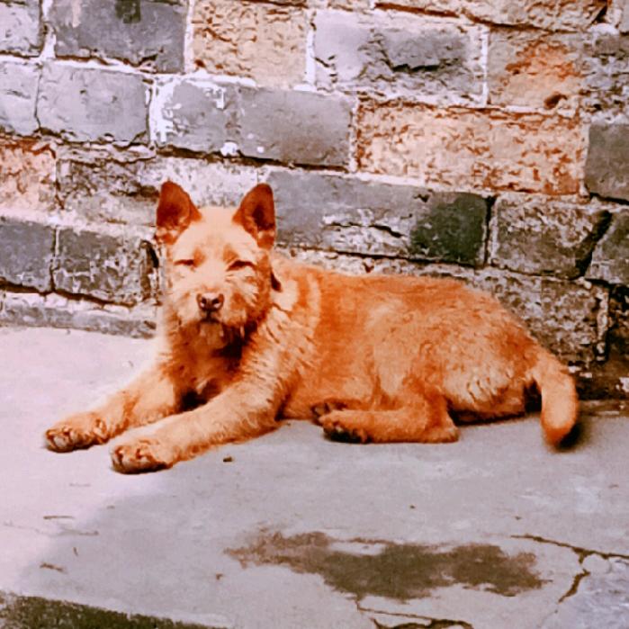KA丛林 猎道 金融