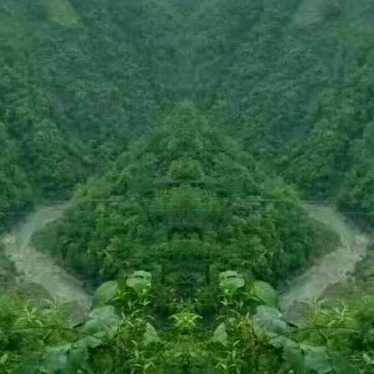 忙忙碌碌