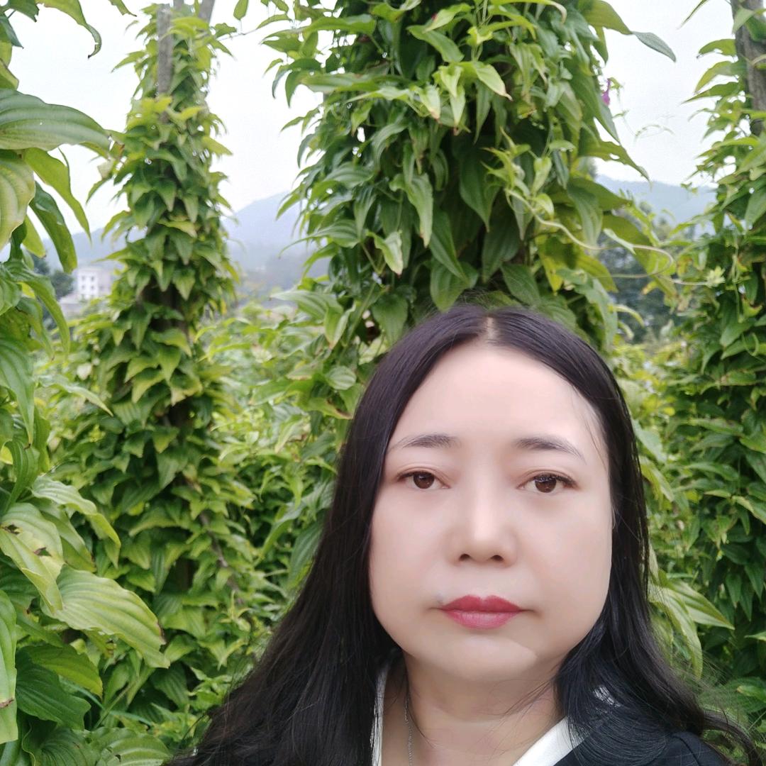 美美