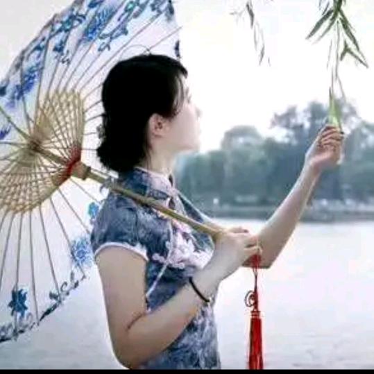 铿锵玫瑰