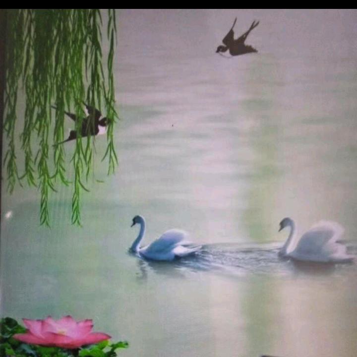 平安是福