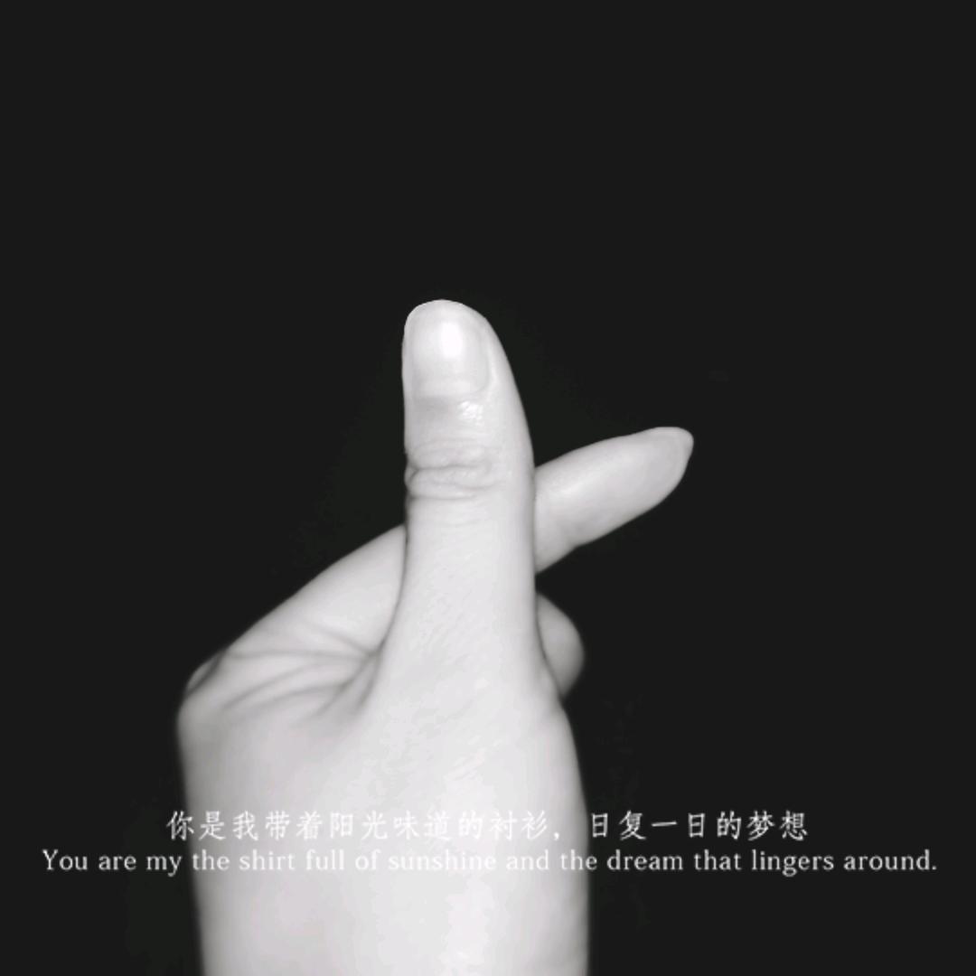 不曾拥有何来失去