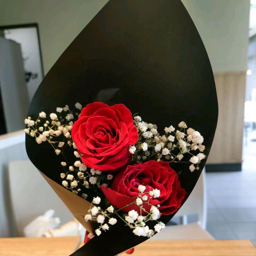 我姓毛，一只叮当毛