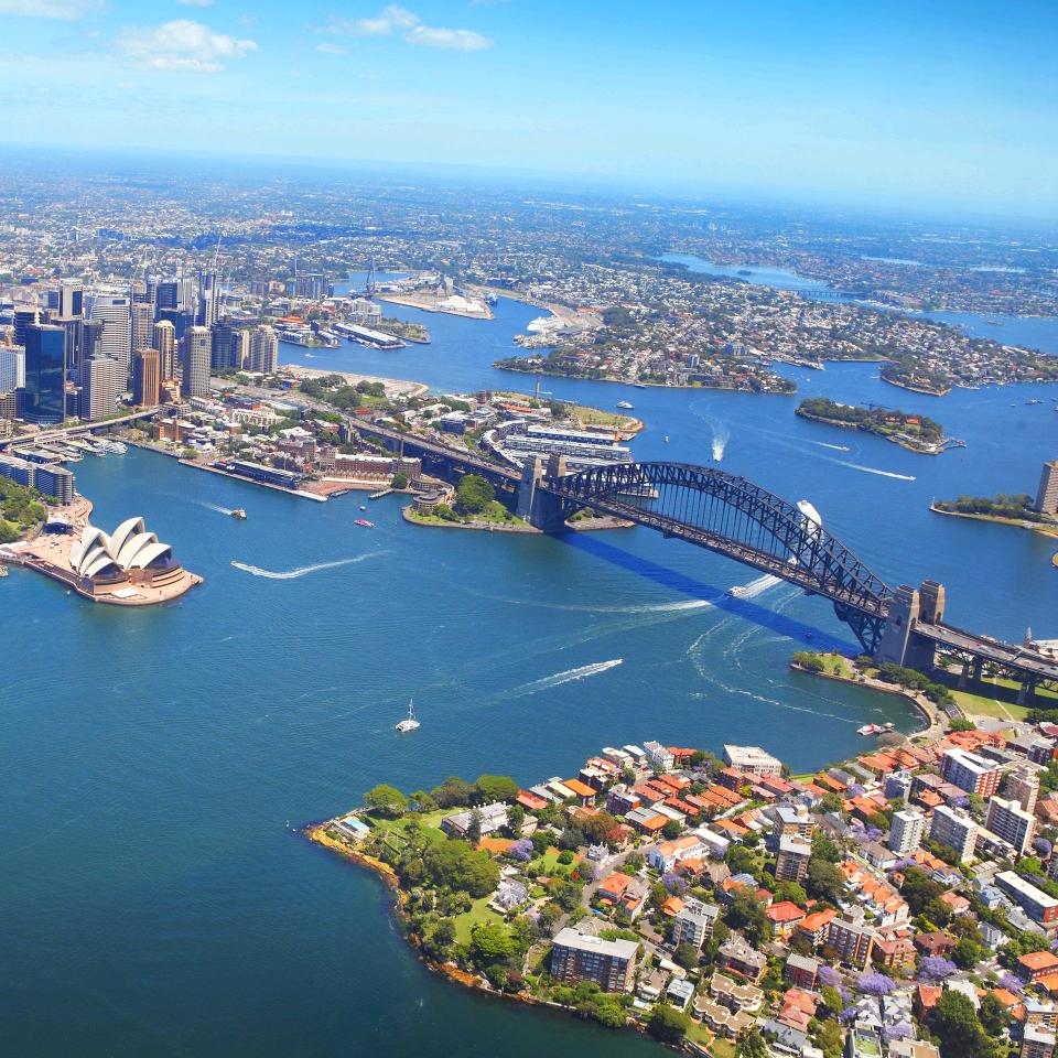 🌸小小花朵🌸