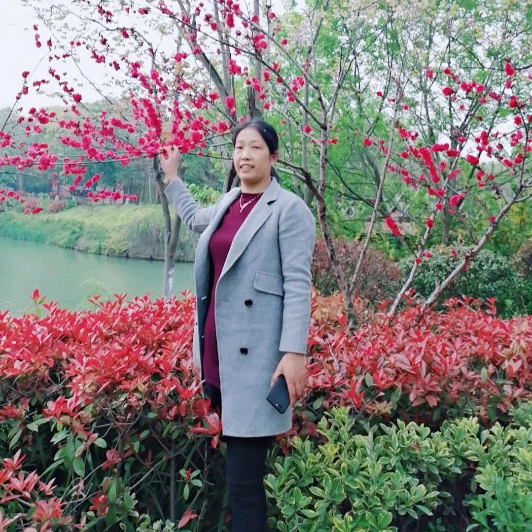 太阳 房屋出租 杨芮村 高速西边