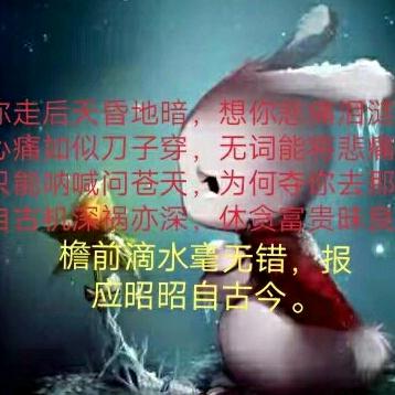 因果轮回