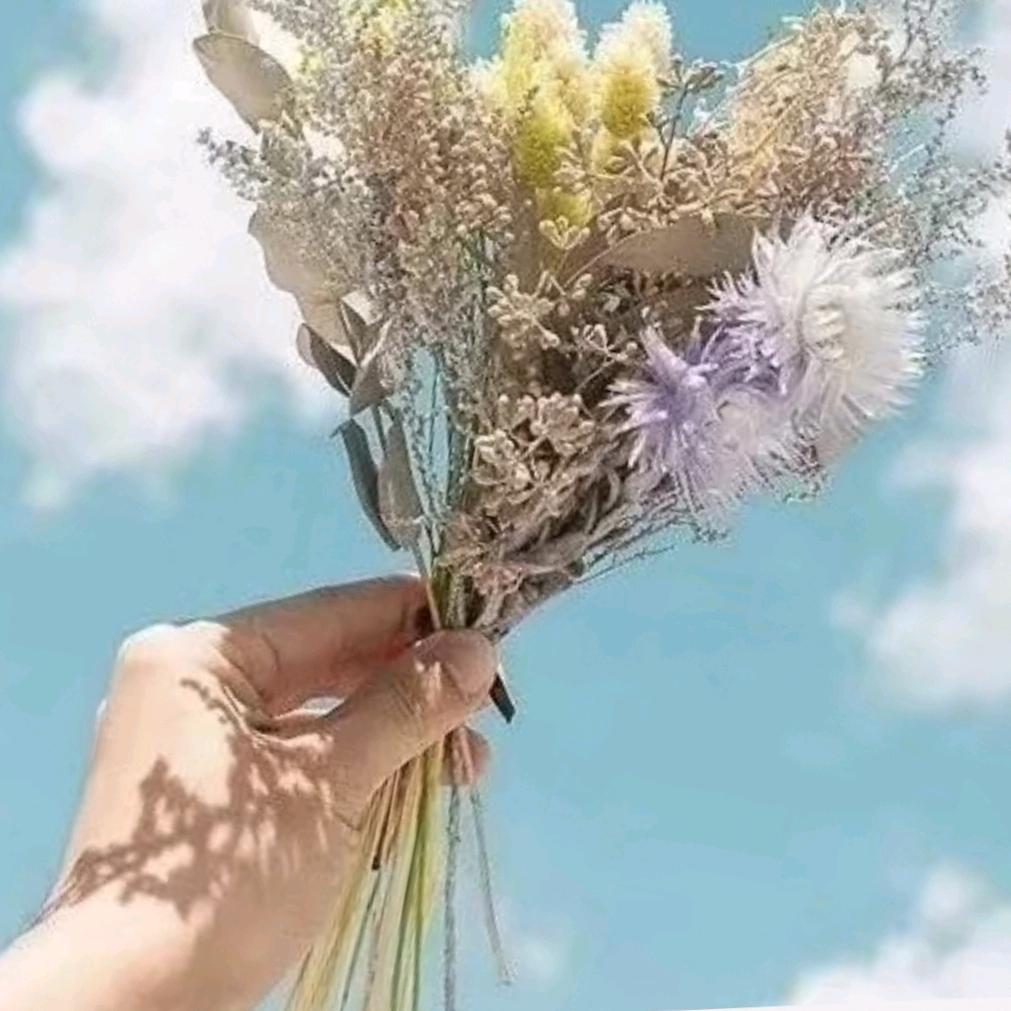 阿呆