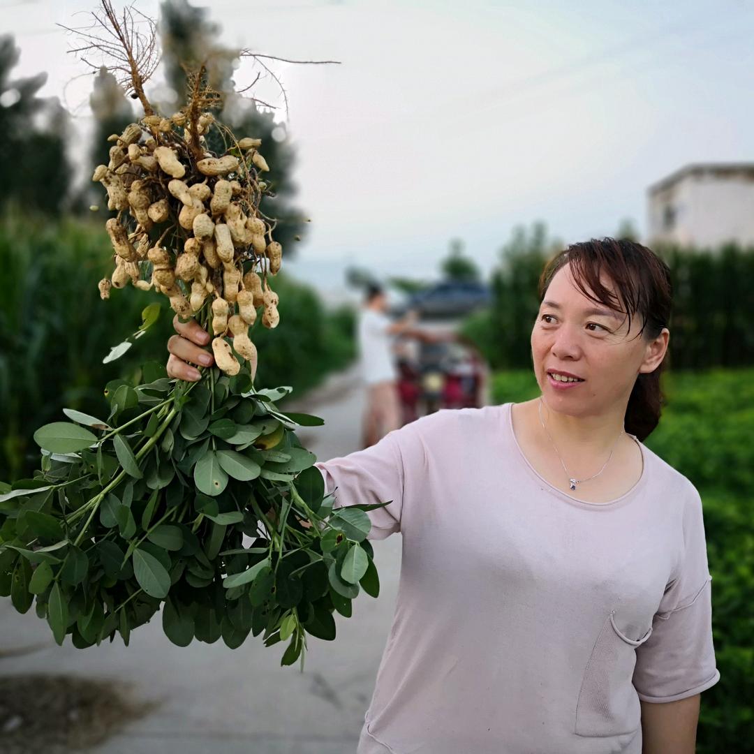 红姐说农事