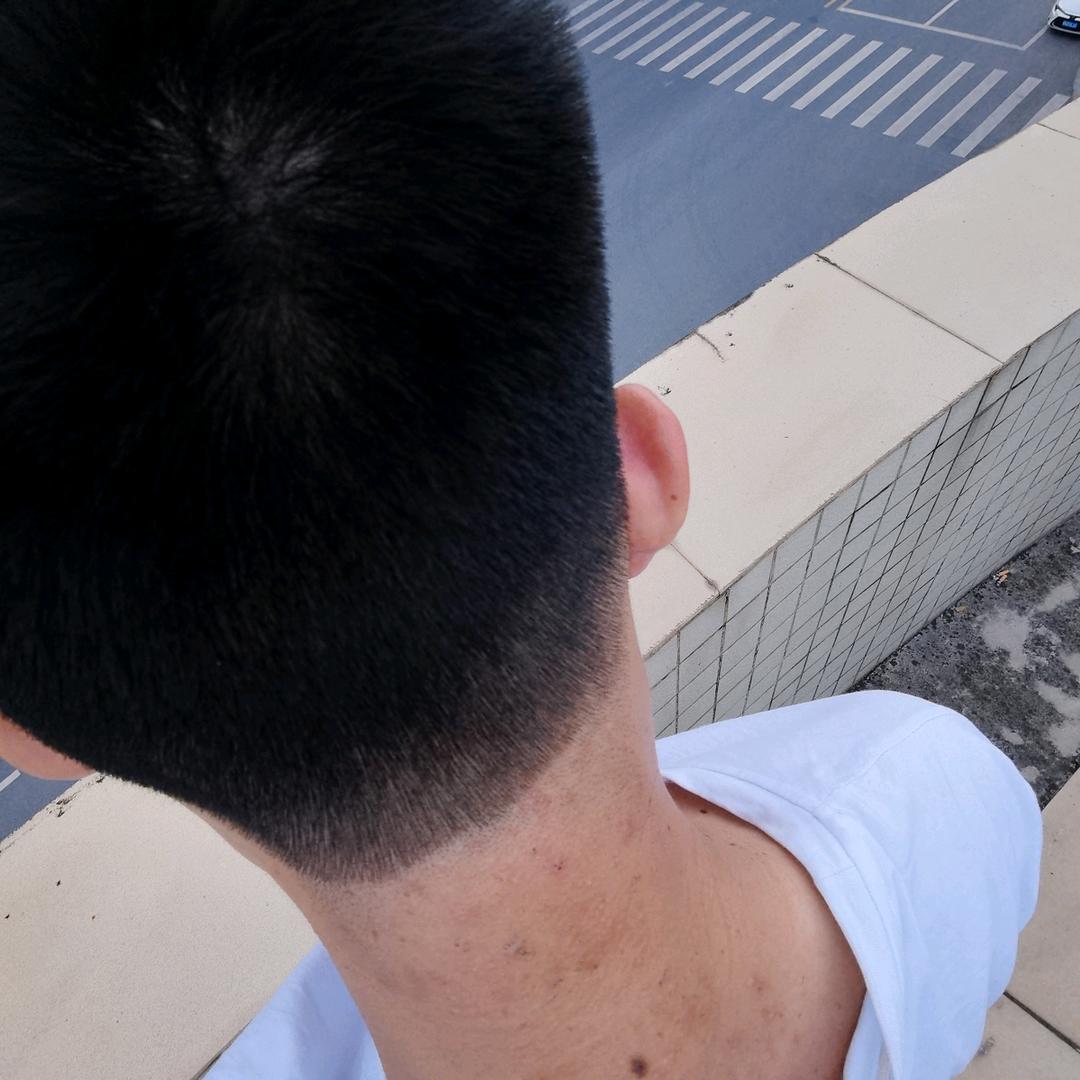 康歌歌