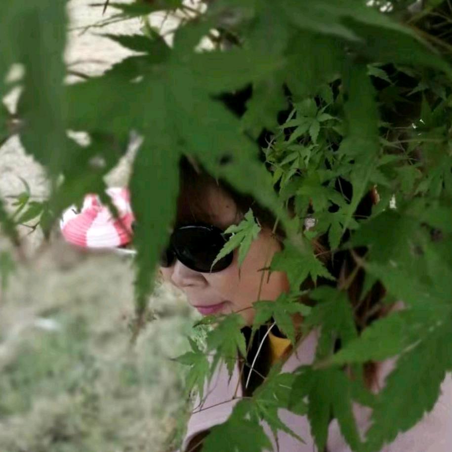 骑着蚯蚓赶龙场