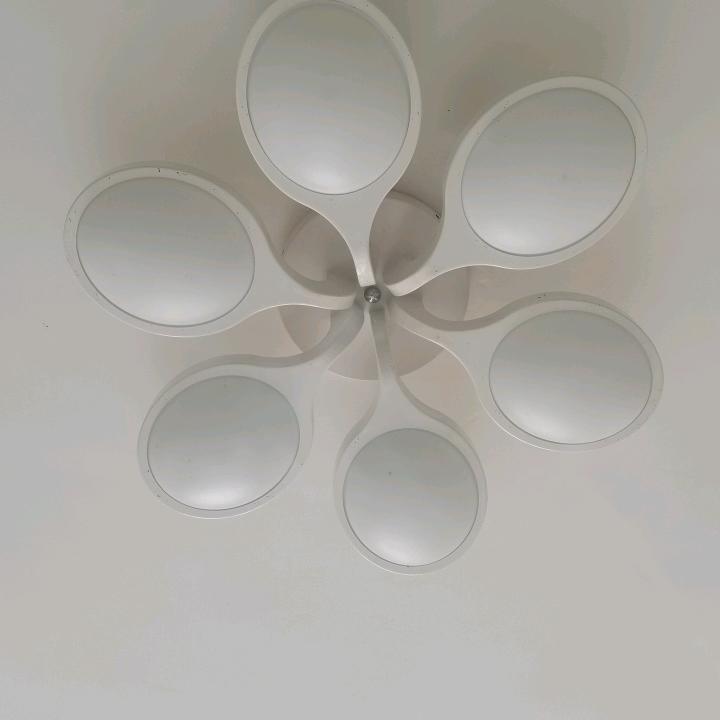 老朱更年轻