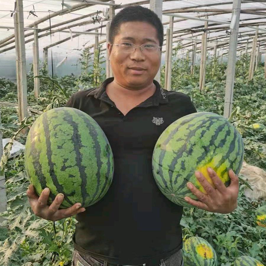 昌乐春瑞农业公司