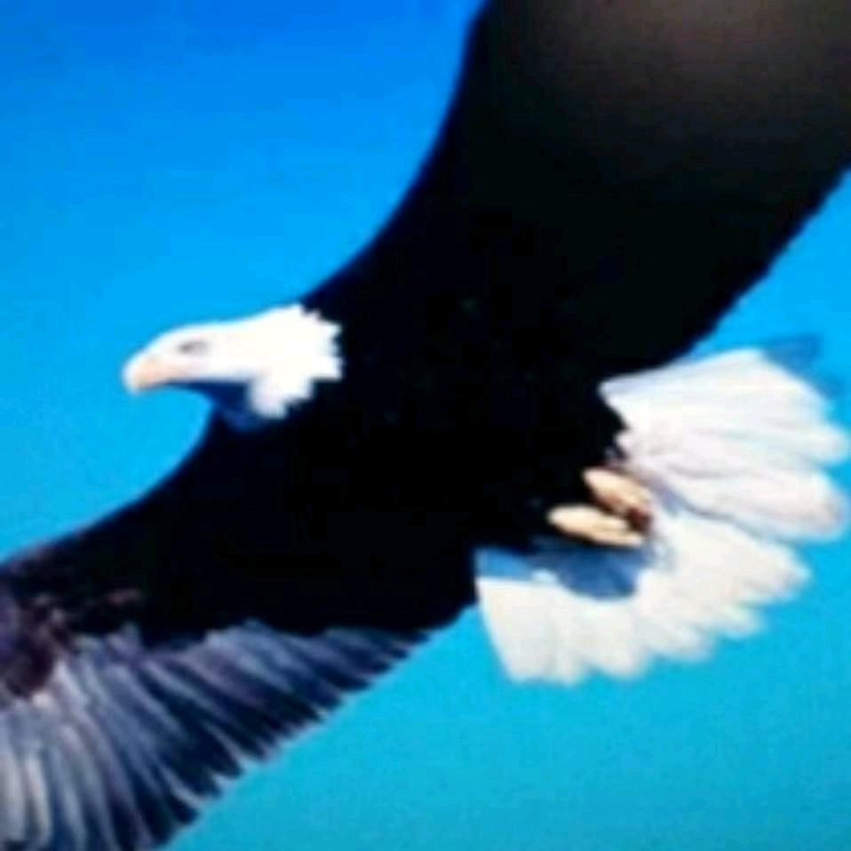 二傻子虾酱专做