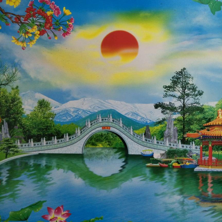 老有所乐
