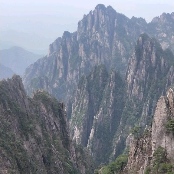 鲲之大    一根鱼竿拿下