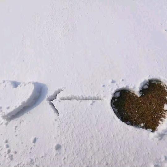 走❤️