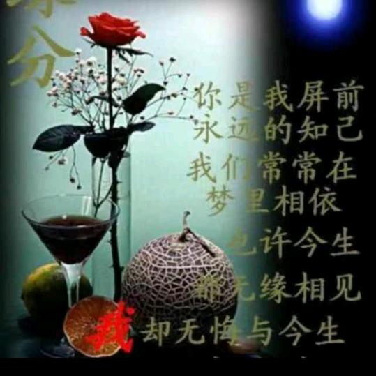 张平华（环行地球）