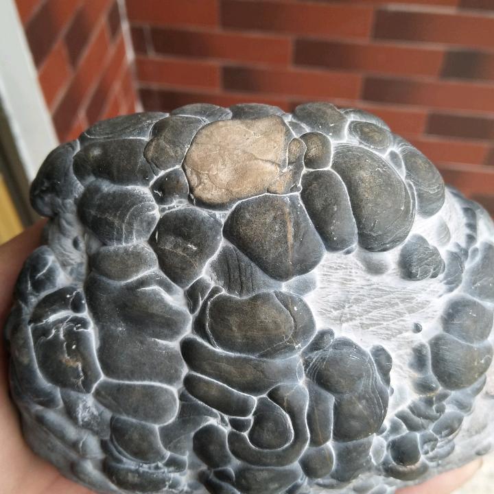大地