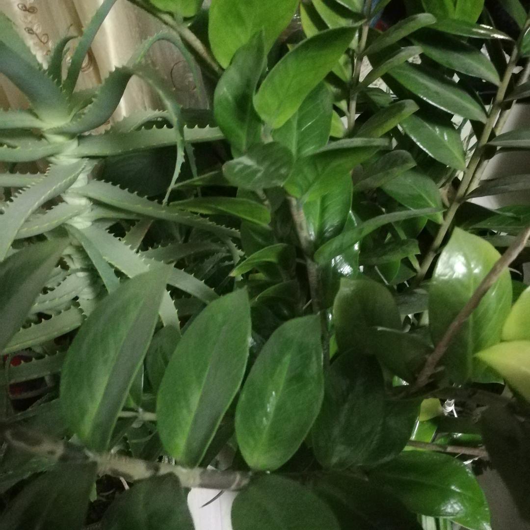 用户9278320235835