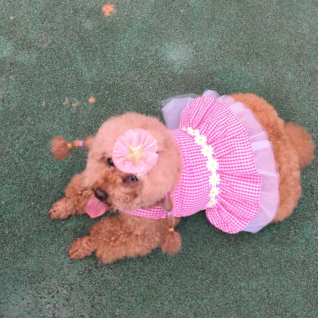 薄✿荷∀青✿枝