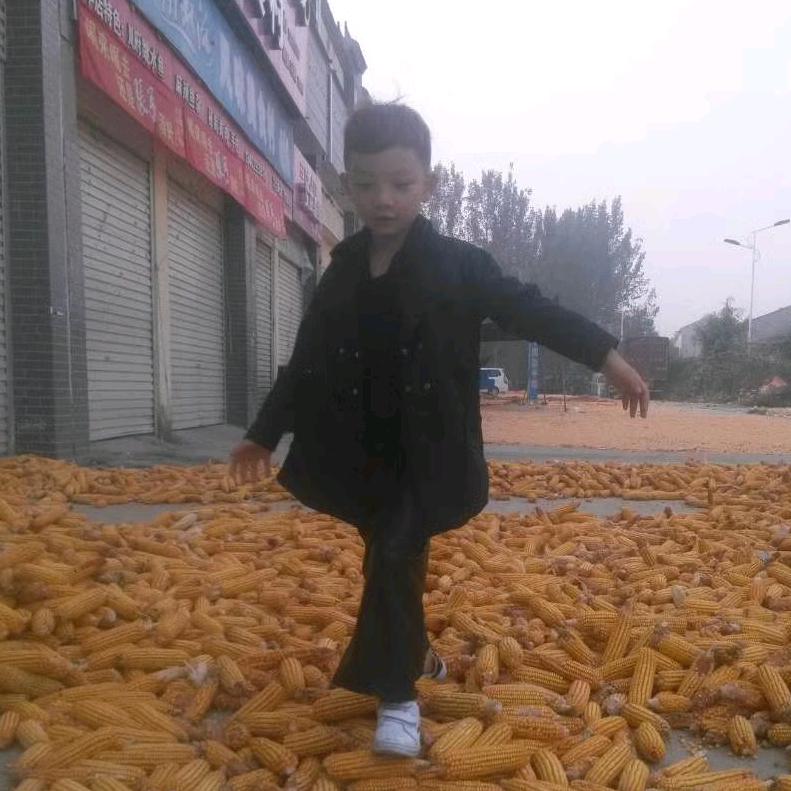 董飞翔