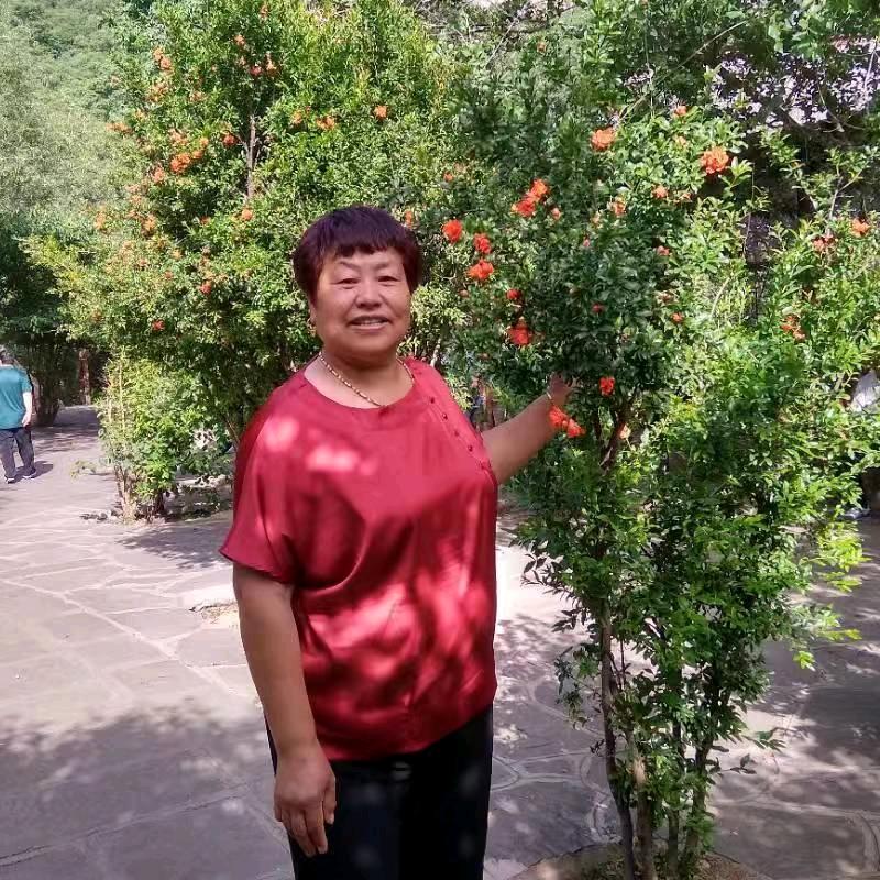 红苹果
