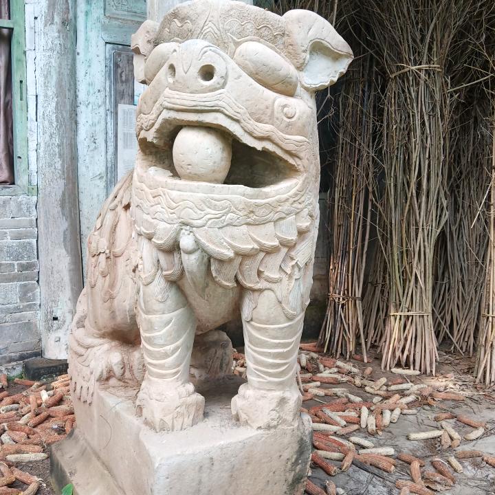 石来运转🔥🔥🔥