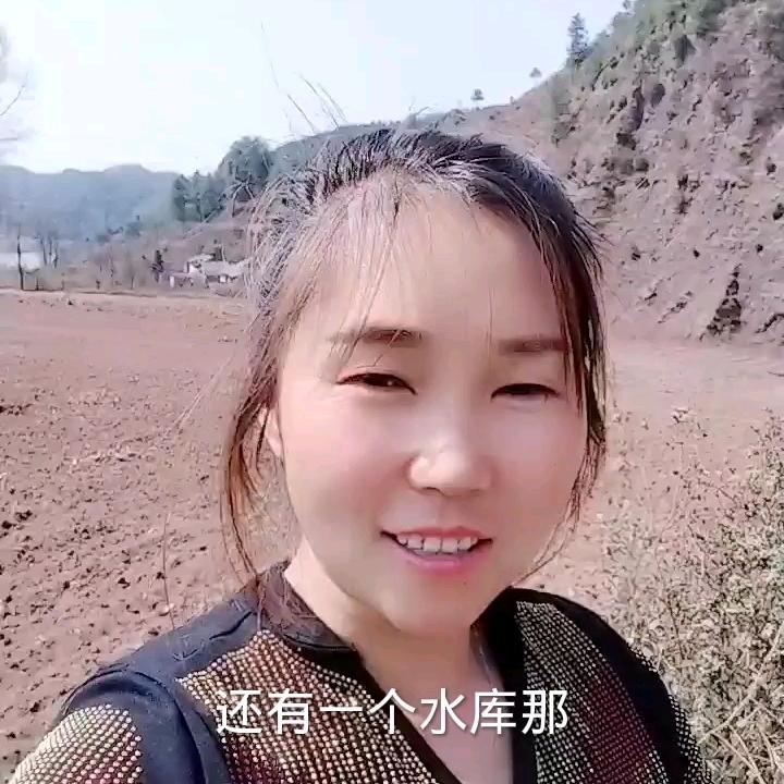小龙艳挑战四米二