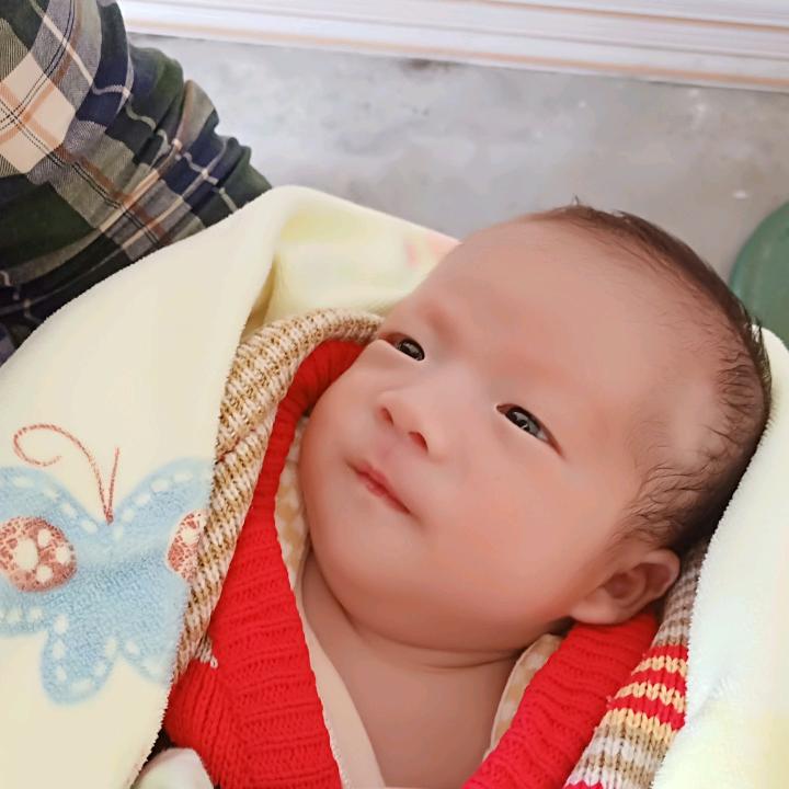 鲜森水果