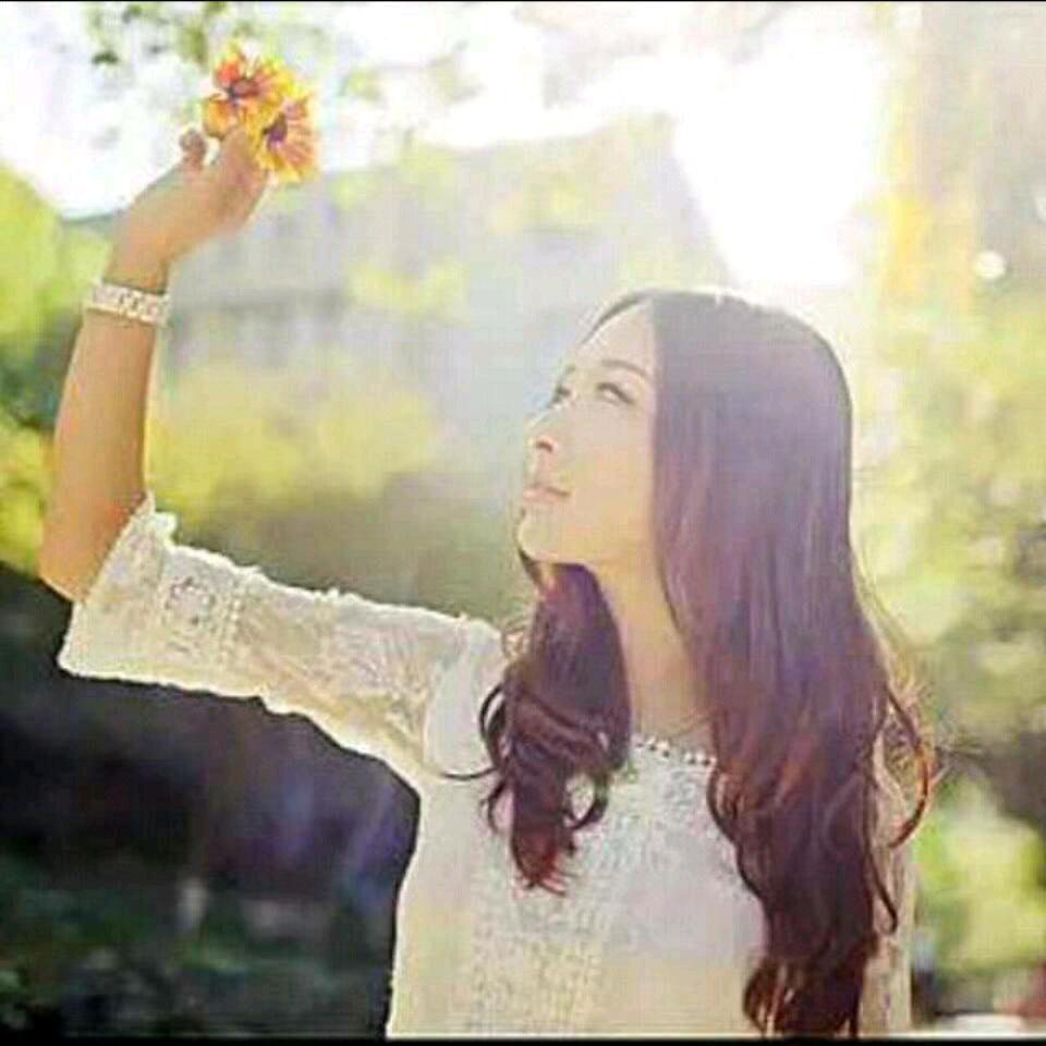 阳光下的向日葵,