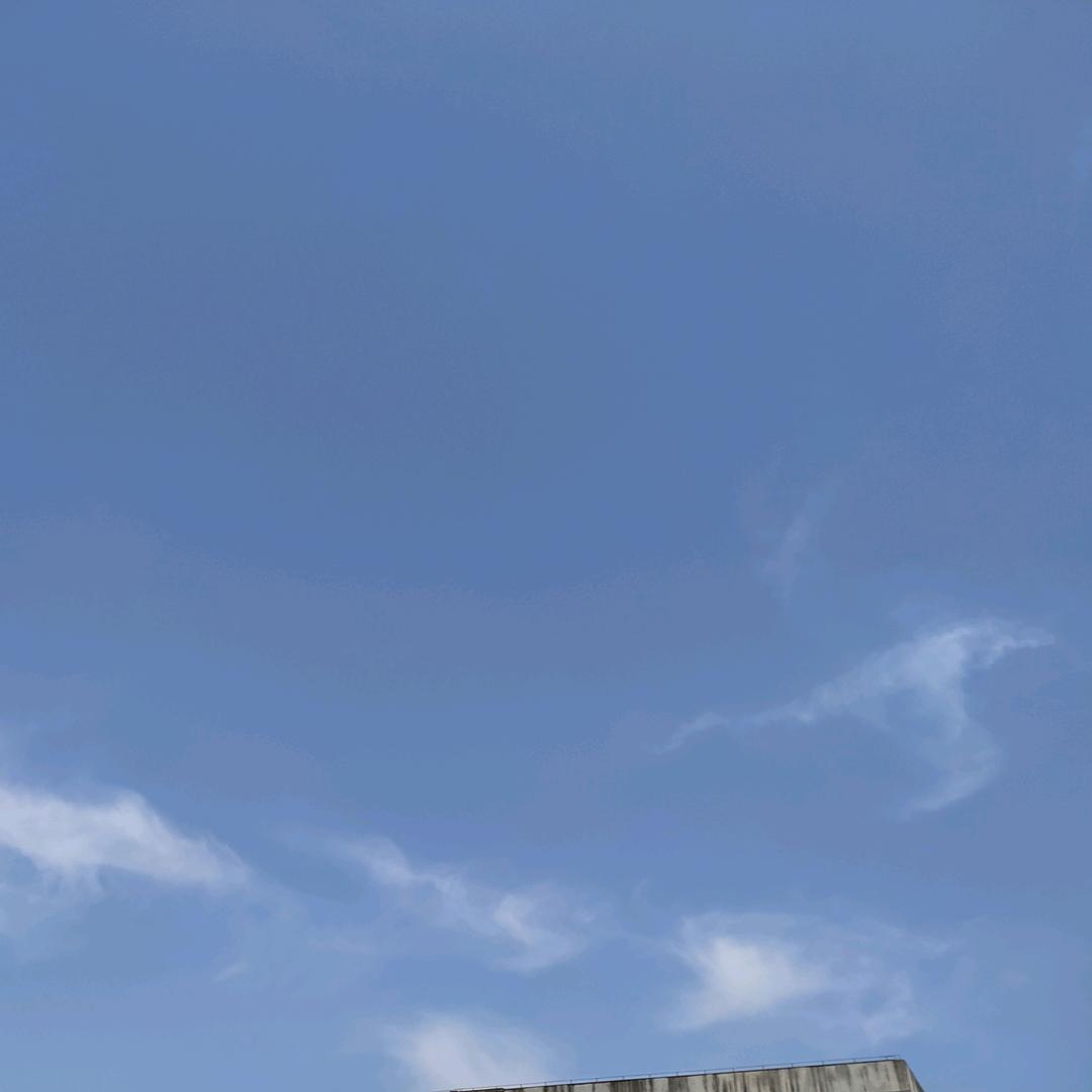温绚