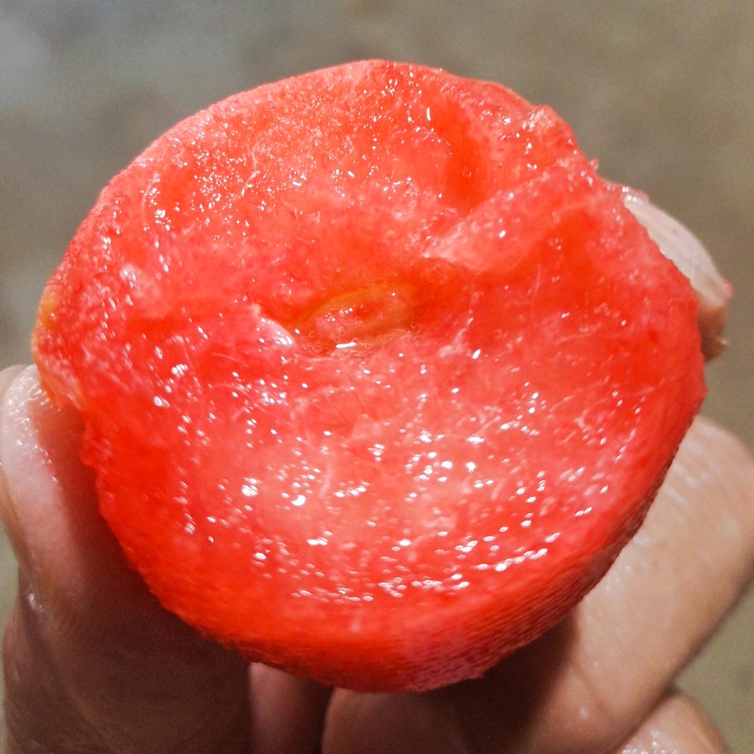 合肥正中生态农业有限公司