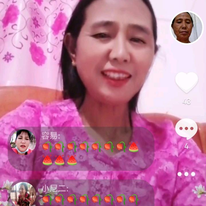 保依团