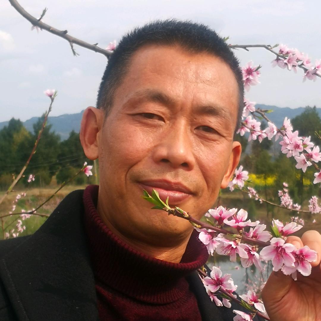 状元桃者玉桃尔升