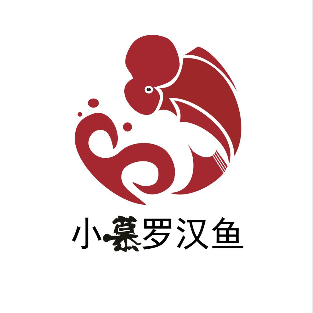小慕罗汉鱼2