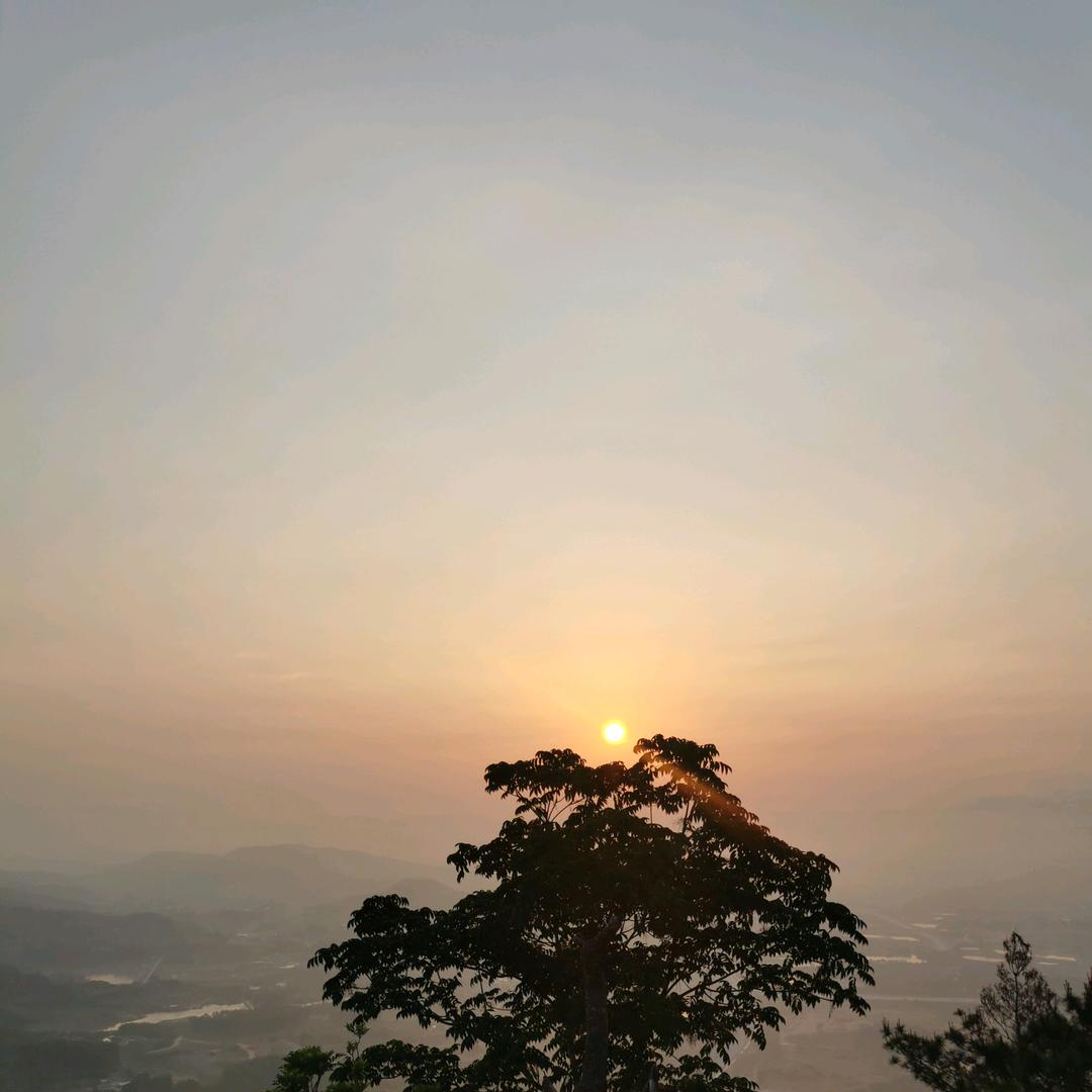 漳州中君策，岩板