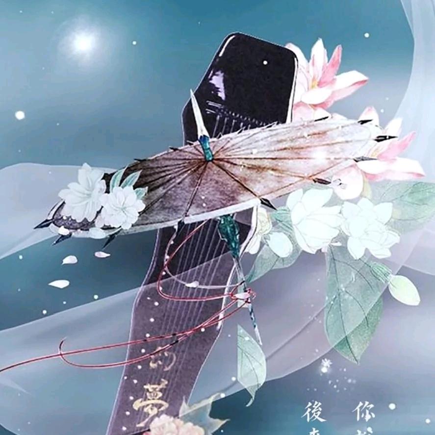 浪子羽荀