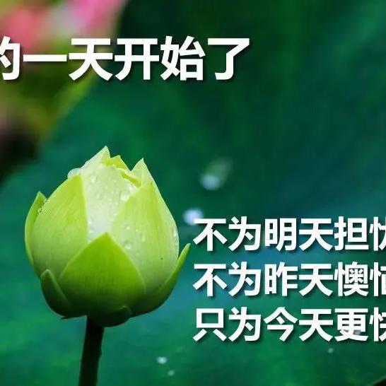 麦麦
