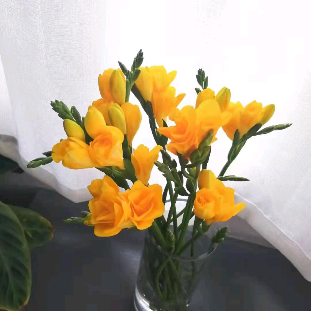 法国轻奢男装VY品牌-北京庄胜