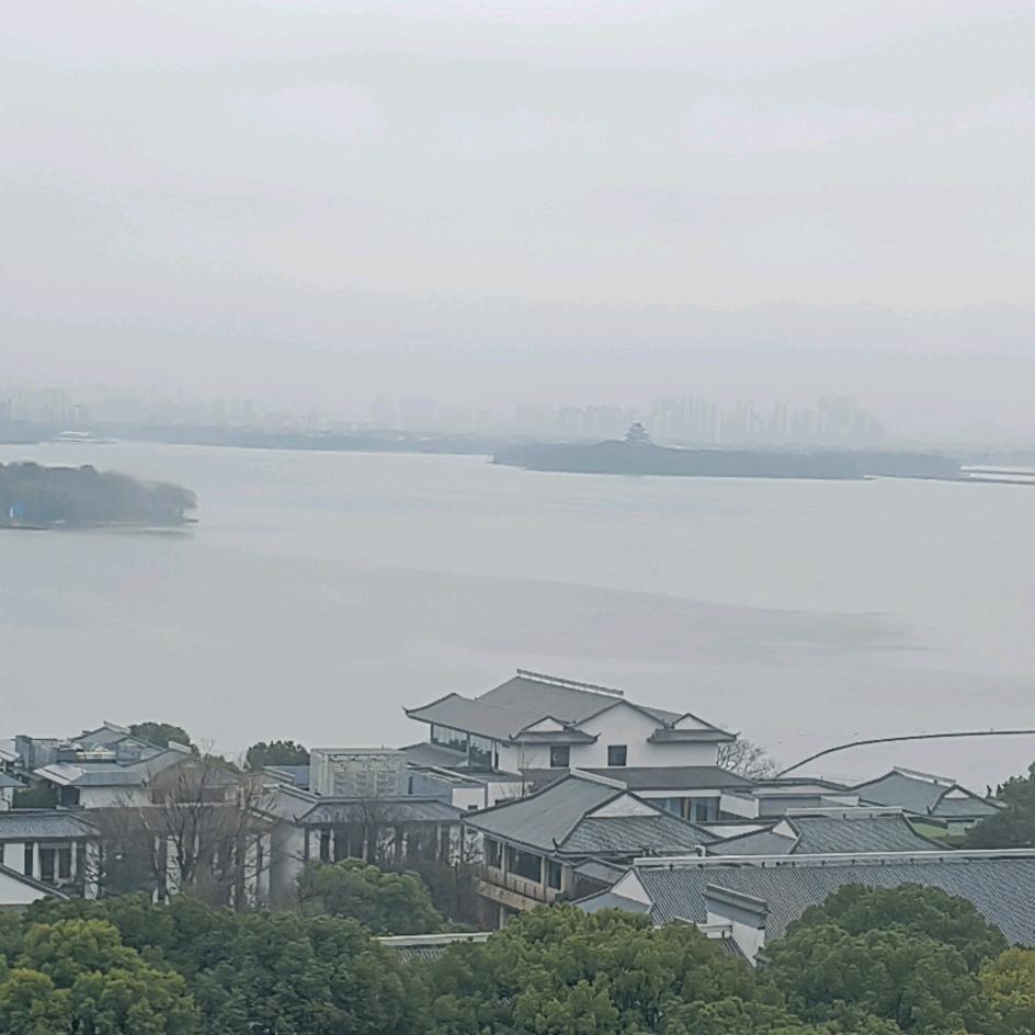 威易涵茶业