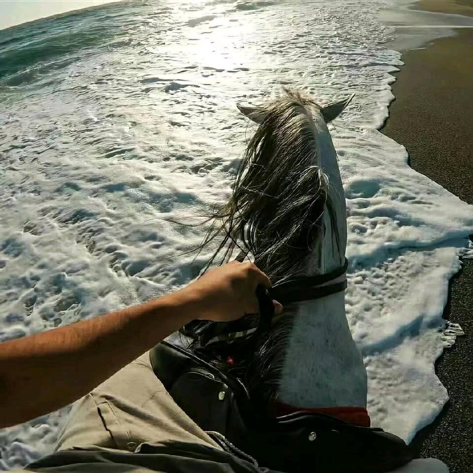 稳.