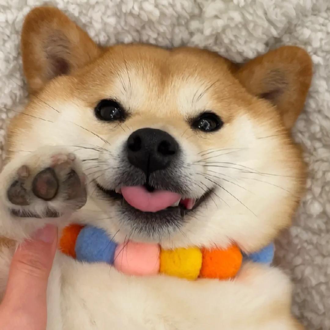 M萌面超人.