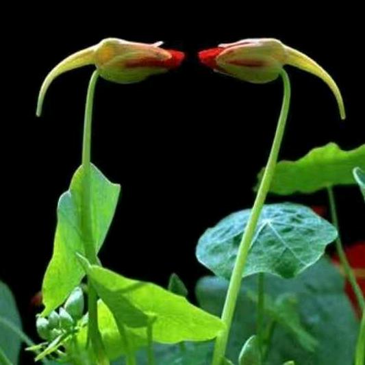 用户9996644736730孔泽旭