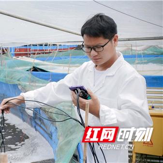 五月未央@溪流鱼