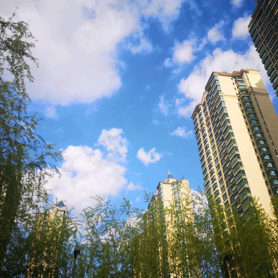 盘锦小胖爱学习